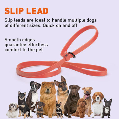 Biothane Slip Lead for Dogs, 5 ft and 7 ft