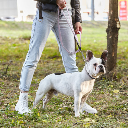 Biothane Waterproof Multi-Handle Dog Leash