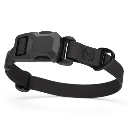 Magnetic Buckle Dog Collar