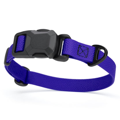 Magnetic Buckle Dog Collar