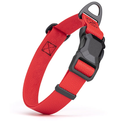Magnetic Buckle Dog Collar