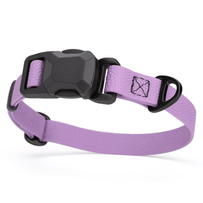 Magnetic Buckle Dog Collar