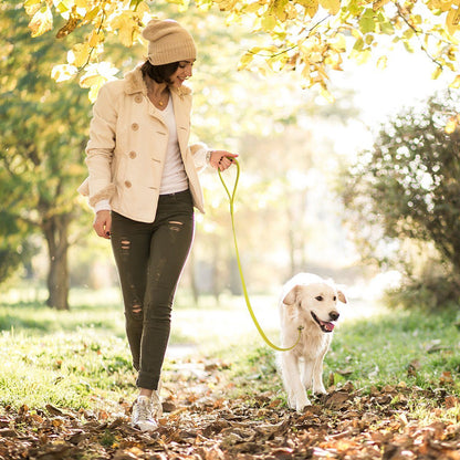 Biothane Slip Lead for Dogs, 5 ft and 7 ft