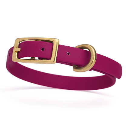 Waterproof Dog Collar with Brass Hardware
